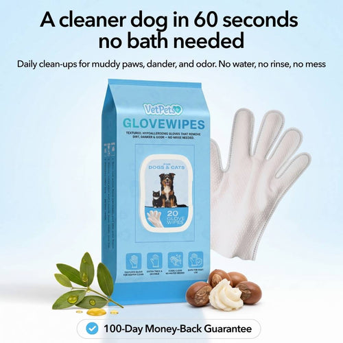 Pawnella GloveWipes – Das Schnell-Sauber-Set