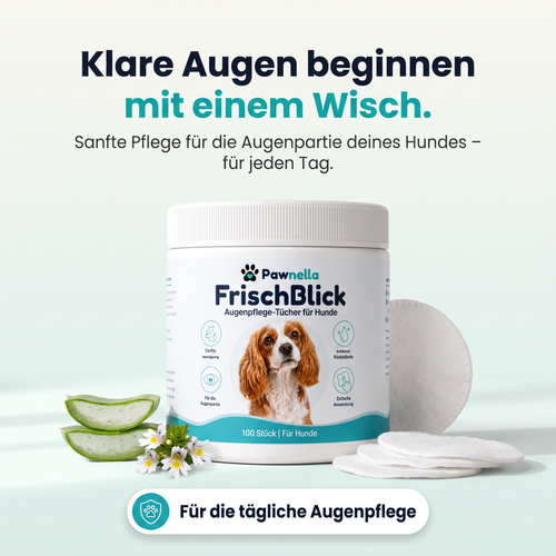 Pawnella FrischBlick