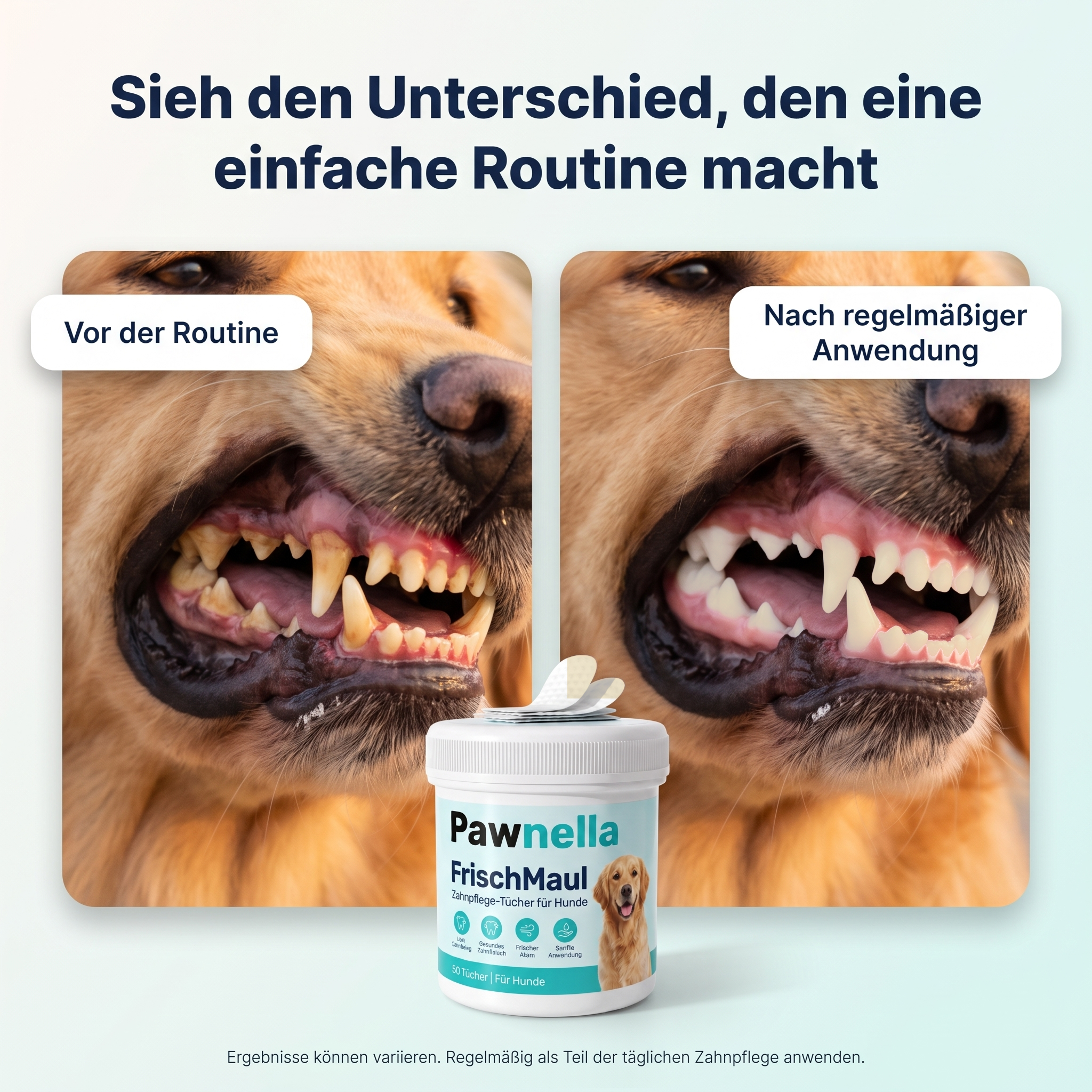 Pawnella FrischMaul